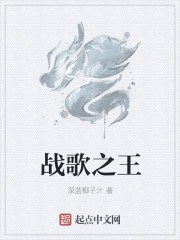 战歌之王小说封面